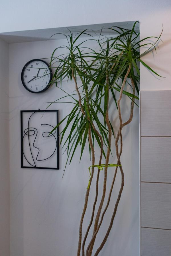 Holiday Apartment Mima אופטיה מראה חיצוני תמונה